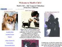 Tablet Screenshot of marlischis.com